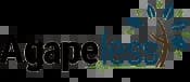 W3era Client Agapeless