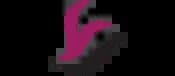 W3era SMM Client LOGO