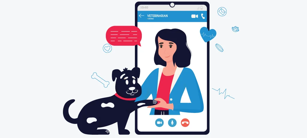 seo for veterinarians-guide