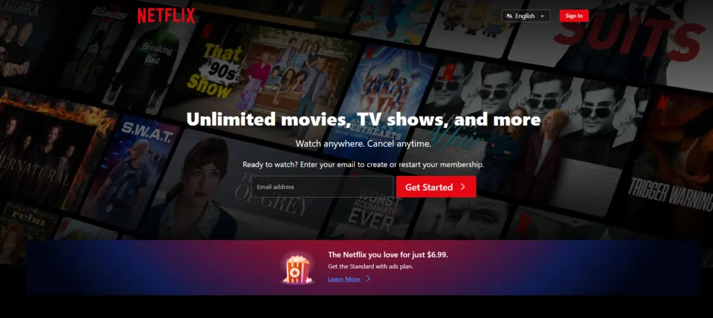 example of dynamic Website- Netflix