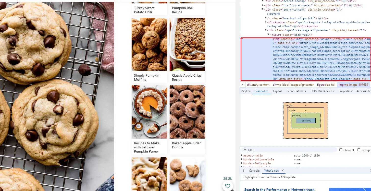 How To Check Alt Texts On Website
