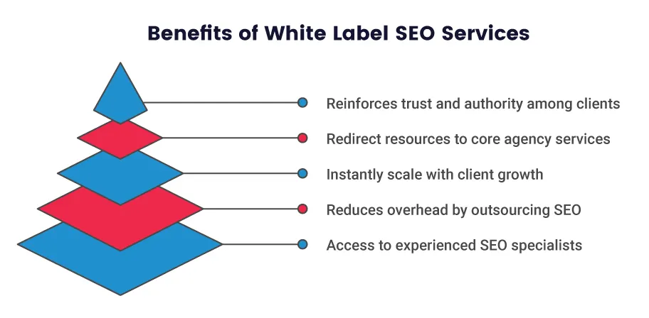 Why Agencies in the USA Choose White Label SEO Services